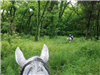 E25 - Horseback Riding Great Trinity Forest
