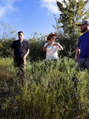 Bachman Friends Group