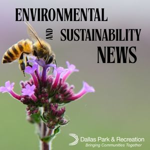Environmental News