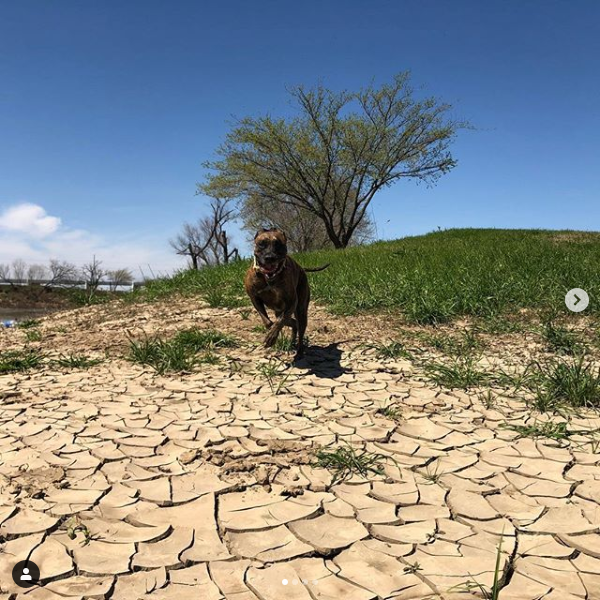 E92 - TrinityRiver Greenbelt Banks