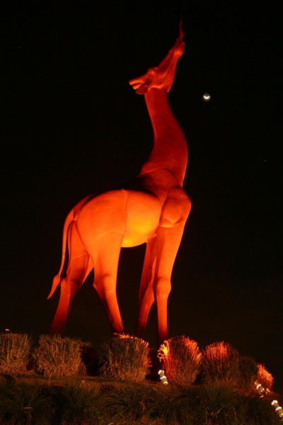 Zoo giraffe statue at night